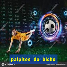 palpites do bicho no celular